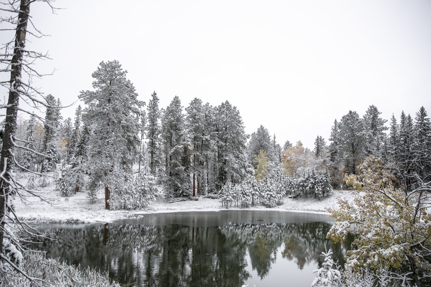 Autumn snow